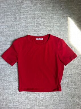 Zara Red Crop Top